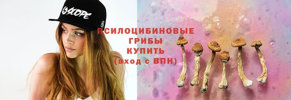 дурь Алексеевка