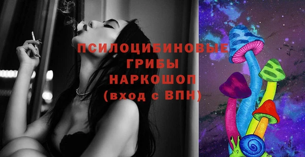 дурь Алексеевка